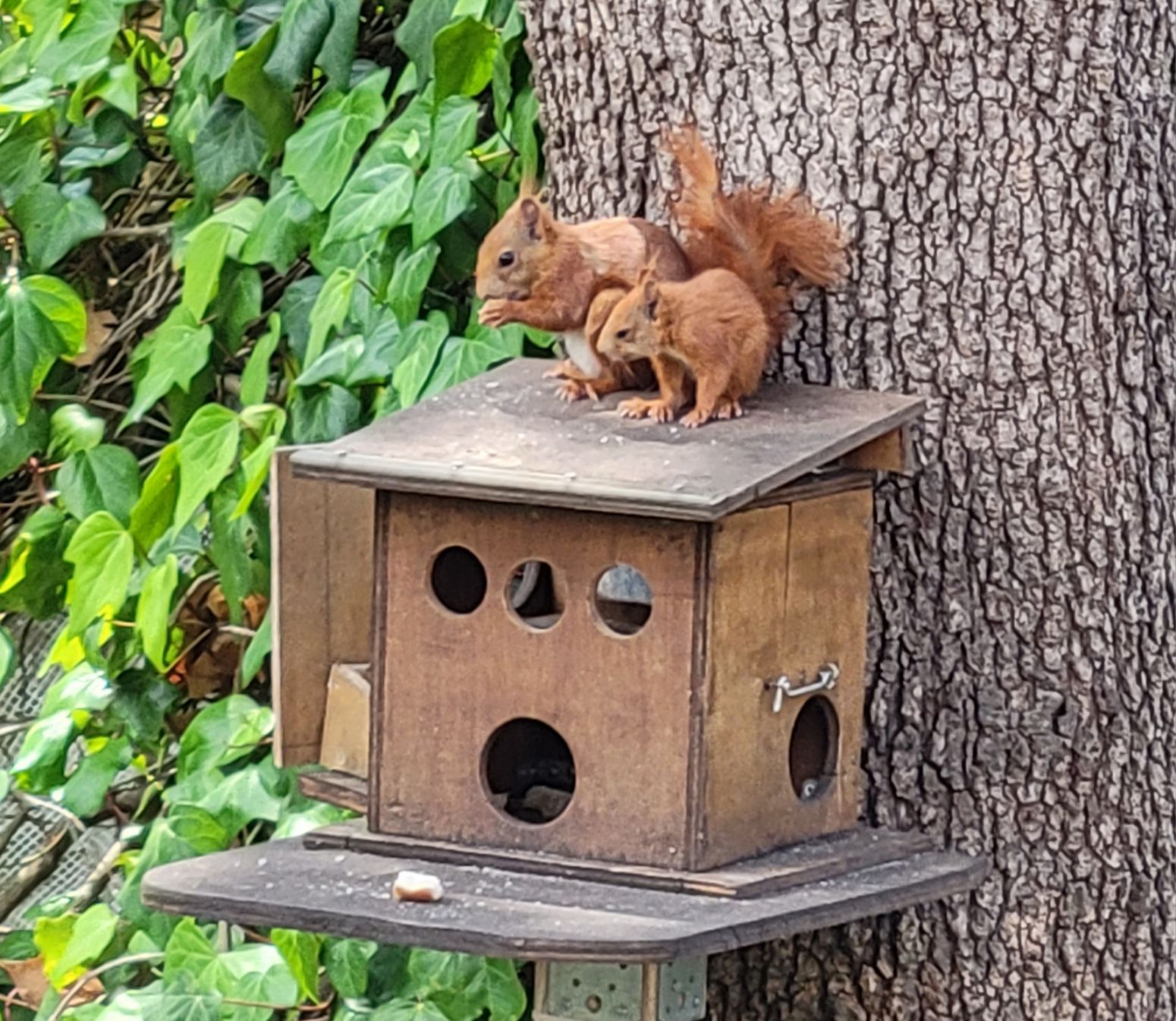 Maman et son petit